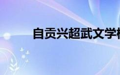 自贡兴超武文学校宿舍环境如何？