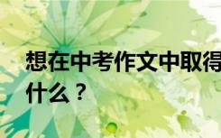 想在中考作文中取得高分 你想用写作技巧写什么？