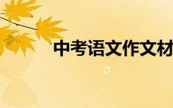 中考语文作文材料满分写作技巧
