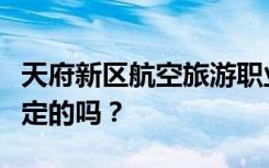 天府新区航空旅游职业学院的性质是教育部认定的吗？