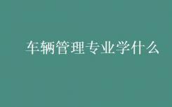 车辆管理专业学什么？