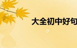大全初中好句子好段落节选