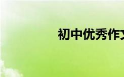 初中优秀作文600字精选