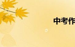 中考作文集锦