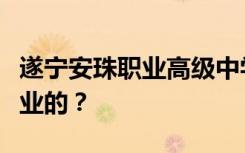 遂宁安珠职业高级中学的就业率是怎么包含就业的？
