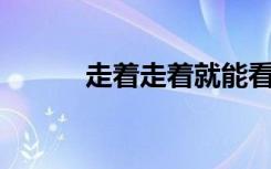 走着走着就能看懂800字的作文