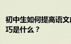 初中生如何提高语文成绩？他们的语文学习技巧是什么？