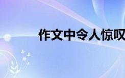 作文中令人惊叹的神仙句子摘录
