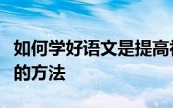 如何学好语文是提高初中语文成绩最快最有效的方法