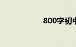 800字初中节日随笔