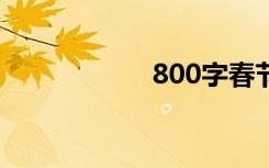 800字春节作文范文