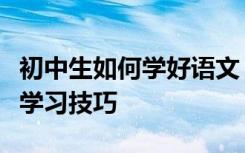 初中生如何学好语文？分享中国顶尖学习者的学习技巧