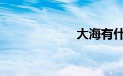 大海有什么故事？