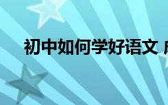 初中如何学好语文 成绩差如何快速得分