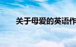 关于母爱的英语作文作文范文及翻译