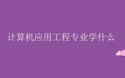 你在计算机应用工程专业学习什么？