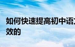 如何快速提高初中语文成绩？这些方法是最有效的