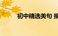 初中精选美句 摘录大全 超实用！