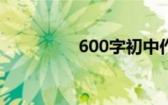 600字初中作家满分作文