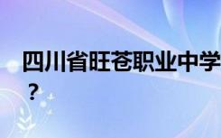 四川省旺苍职业中学2022年学费一年多少钱？