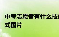 中考志愿者有什么技能怎么填？志愿者表格格式图片