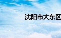 沈阳市大东区最佳高中名单