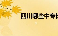 四川哪些中专比较好详细介绍