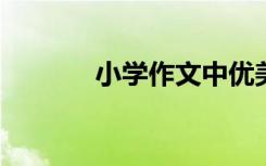 小学作文中优美句子摘录简短