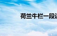 荷兰牛栏一段适合中国宝宝吗