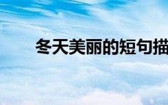 冬天美丽的短句描写冬天美丽的句子