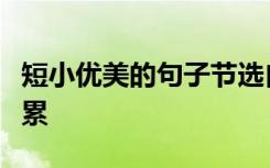 短小优美的句子节选自大全初中生优美句子积累