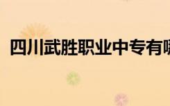 四川武胜职业中专有哪些专业 哪个专业好？