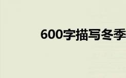 600字描写冬季风景的优秀作文