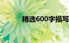 精选600字描写冬景的优秀作文