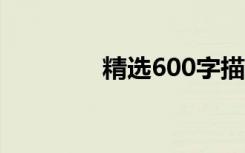精选600字描写冬景的作文