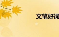 文笔好词好句节选