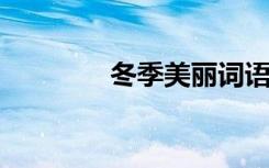 冬季美丽词语和句子的积累