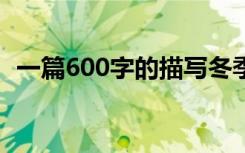一篇600字的描写冬季风景的优秀作文精选