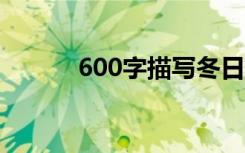 600字描写冬日美景的优秀作文