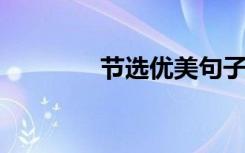 节选优美句子提高写作水平