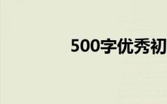 500字优秀初中作文论青春
