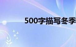 500字描写冬季雪景的优秀作文