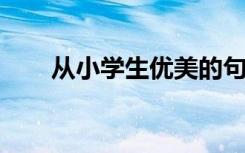 从小学生优美的句子中摘录一个短句