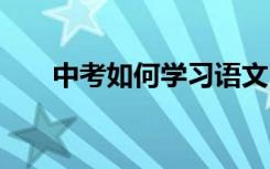 中考如何学习语文 如何提高语文成绩