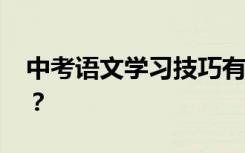 中考语文学习技巧有哪些 如何提高语文成绩？