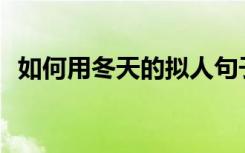 如何用冬天的拟人句子写描写冬天的句子？