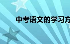 中考语文的学习方法和技巧有哪些？