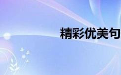 精彩优美句子20字节选
