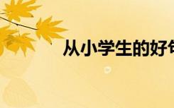 从小学生的好句子中提取短句