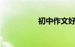 初中作文好词好句节选